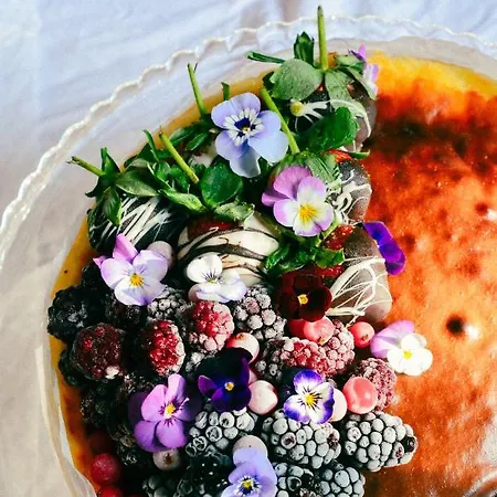 Manastir 2* Алачати